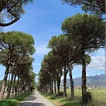 Casa Nel Parco 3 2 Bagni 6 Ospiti 아파트 Luni