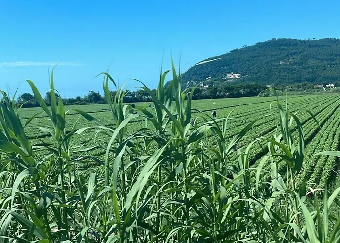 La Casa Nel Parco Appartement