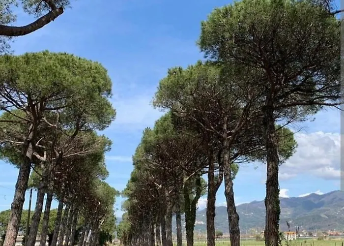 La Casa Nel Parco Appartement Luni