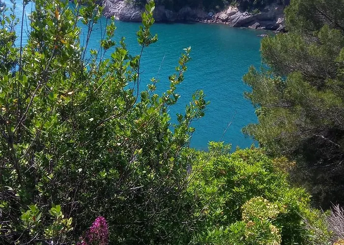 La Casa Nel Parco Appartement